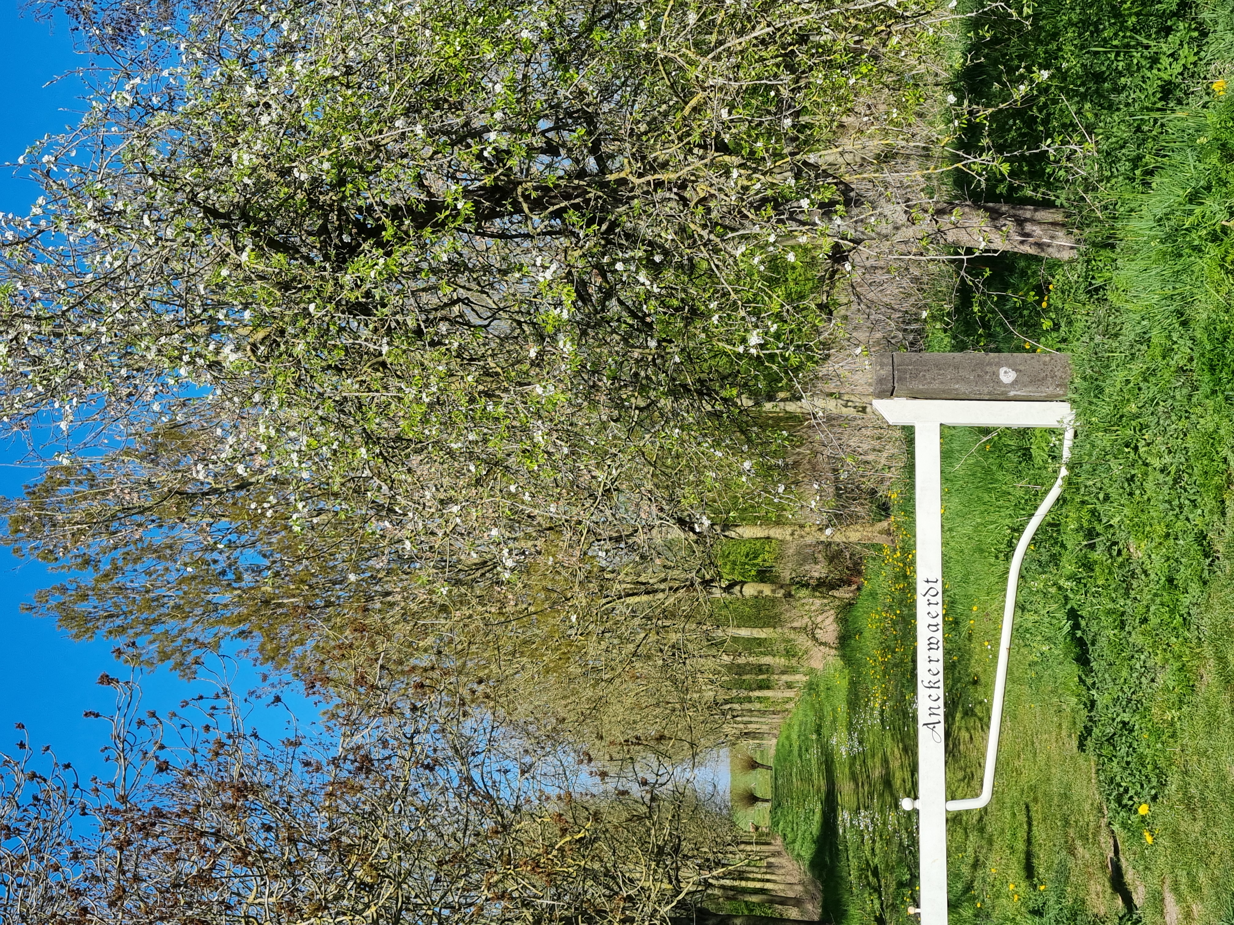 Culemborg 3